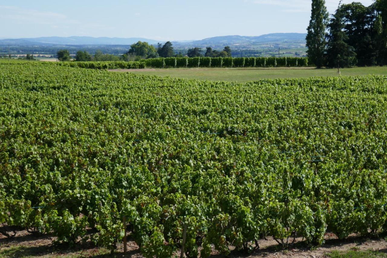 Le Bel Air De Saint Jean Bed & Breakfast Belleville-en-Beaujolais Exterior photo